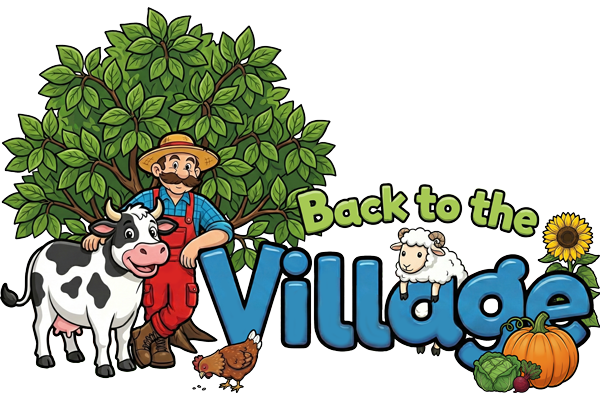 Back to the Village Logo